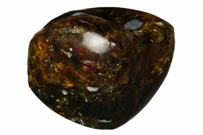 Polished Chiapas Amber ( g) - Mexico #180411